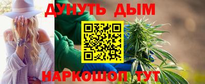 спиды Гай