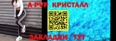 спиды Гай