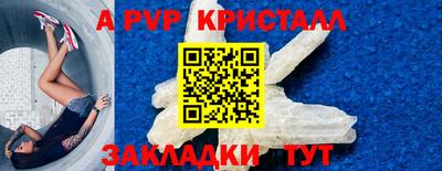 спиды Гай