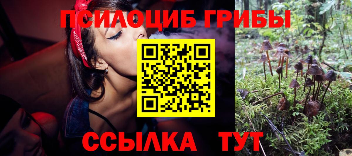 Ефремов  Псилоцибиновые грибы MAGIC MUSHROOMS  Галлюциногенные грибы мухоморы  Вход с VPN 